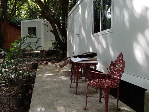 Albergue Wild Trees Cabin