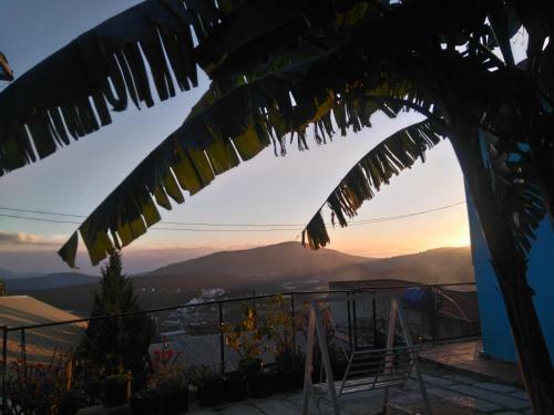 Hostal Moonlight Homestay