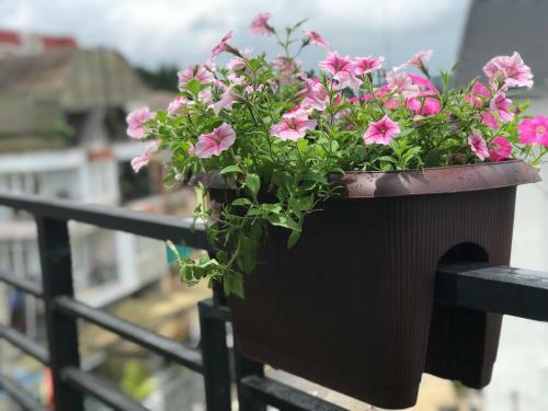 Apartamento Powill Home