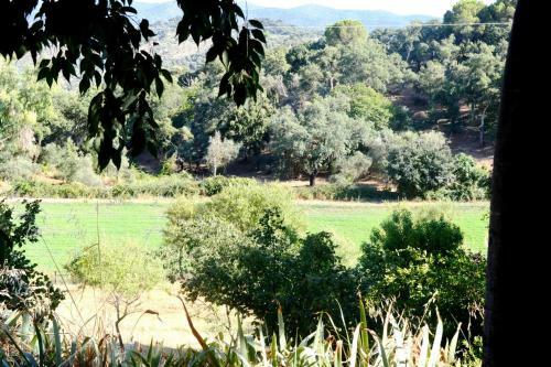 Agroturismo La Cartuja de Cazalla