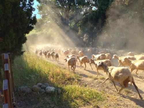 Holiday Home I Sassi Montecerboli