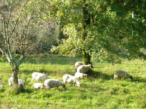 Agroturismo Giunasco