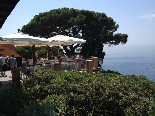 Hotel Stella Maris Resort