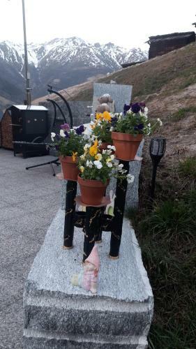Apartamento Riebe 331