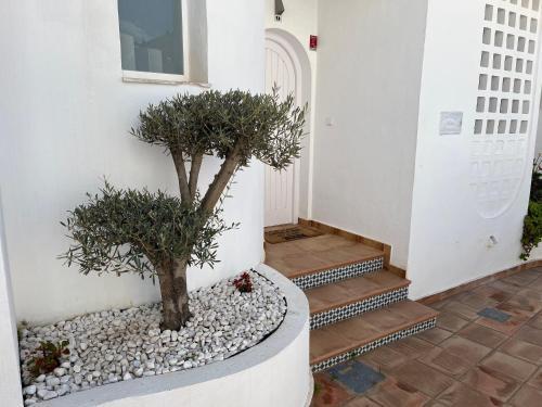 Casa Del Olivo