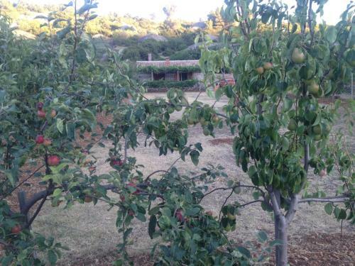Agroturismo Country House Speedy