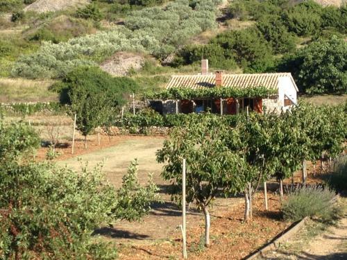 Agroturismo Country House Speedy