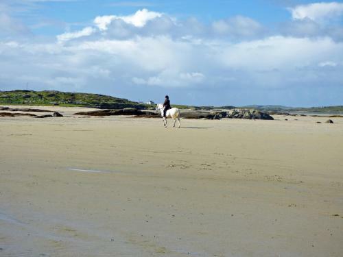 Eyre Square Holiday Apartment