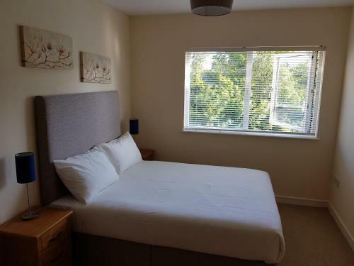 Dublin Airport Room