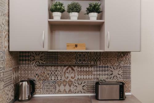 Andre Apartment In The Heart Of Cluj