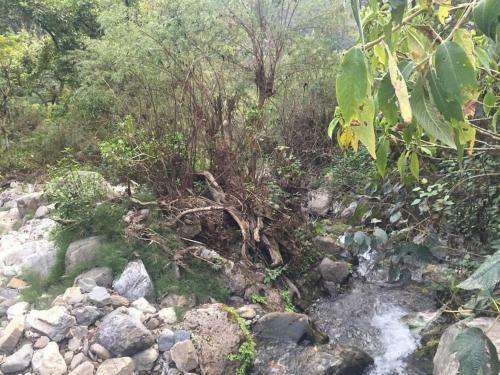 Sadhana Forest Villa (Nestled In The Hills)