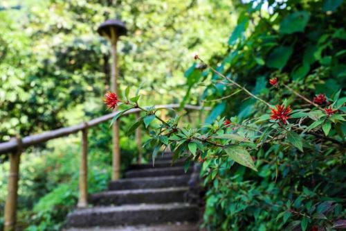 Sadhana Forest Villa (Nestled In The Hills)