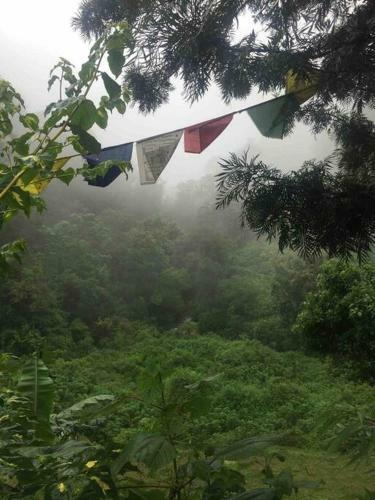 Sadhana Forest Villa (Nestled In The Hills)