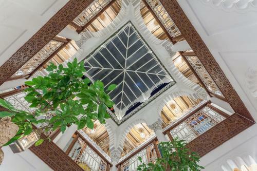 Riad Astra Damus Hotel