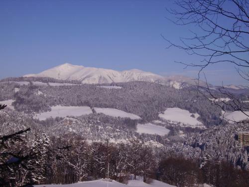 Apartamento Villa Daheim Semmering