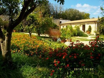 Agroturismo Masseria Lacco