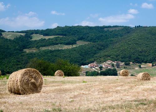 Hostal Fonte Alla Lepre
