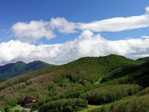 Lodge Forest Inn Sangoro