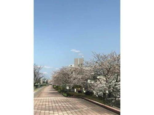 Hostal Family House - Vacation Stay 53006v