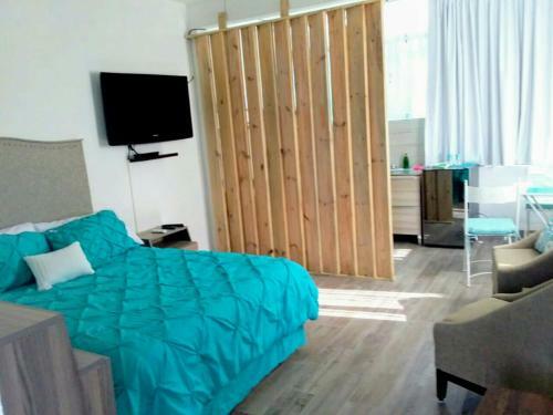 Apartamento Studio Privado Con Cocina