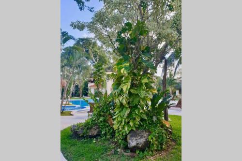 Casa Alexandra 4br -10min 5ta Y Playas! Sleeps 11