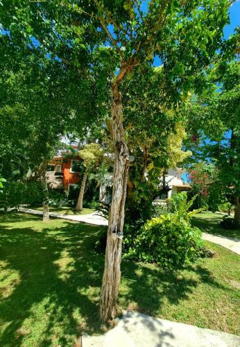 Casa Alexandra 4br -10min 5ta Y Playas! Sleeps 11