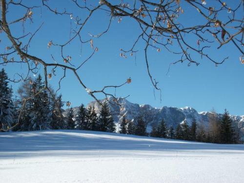 Apartamento G�stehaus L�rcheck Berchtesgaden Fewo J�gerst�bchen