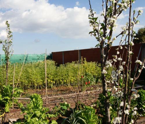Country House With Pool, Garden And Orchard