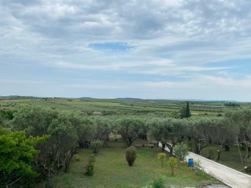 Villa Mediterranean Escape