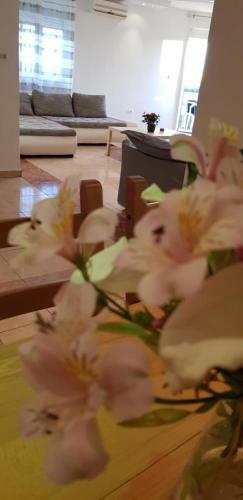 Apartment Dolcefarniente Liznjan