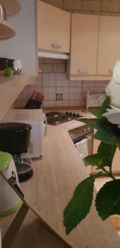 Apartment Dolcefarniente Liznjan