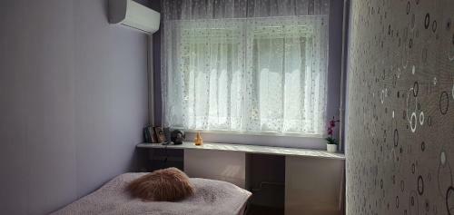 Apartamento Rovin