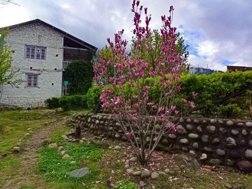 Meraki Cottages