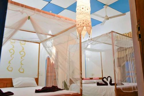 Hostal Badolina Kingdom