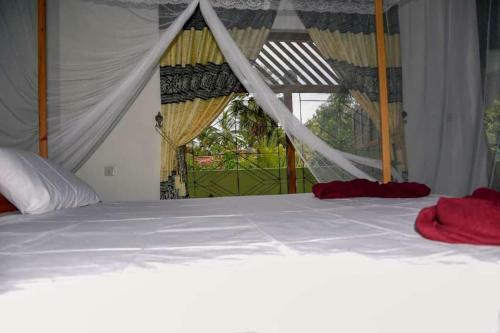 Hostal Badolina Kingdom