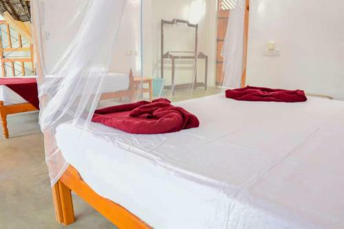 Hostal Badolina Kingdom