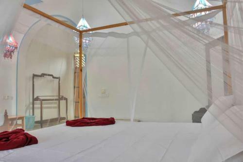 Hostal Badolina Kingdom