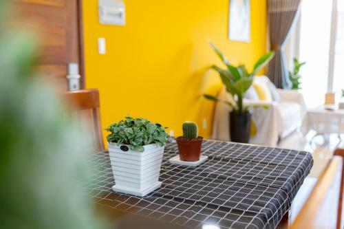 Apartamento C?n H? Cao C?p View Bi?n V?ng T�u (2pn-1701)