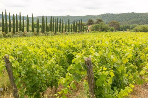 Agroturismo Relais La Pieve Vecchia