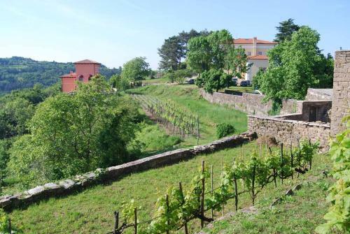 Casa Della Vigna