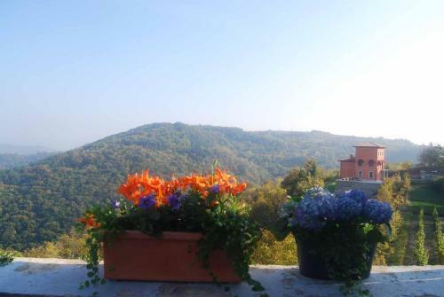 Casa Della Vigna