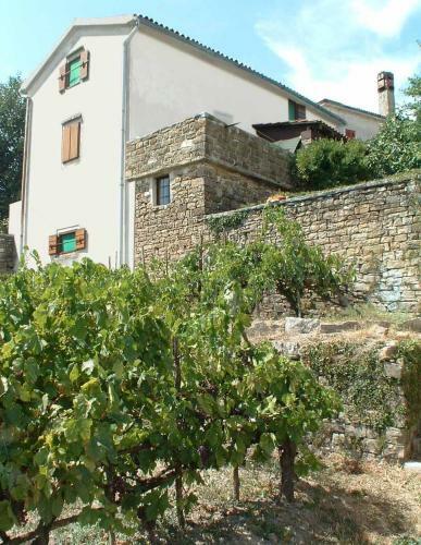 Casa Della Vigna