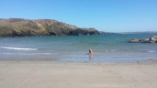 Hostal Lake View, Rosscarbery