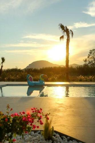 Villa Neo Dalyan Residences - Your Private Paradise