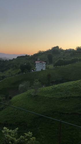 Bu?ra Evi