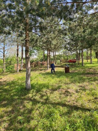 Sapanca G�l Manzaral? Do?a I�inde Huzur Tinyhouse