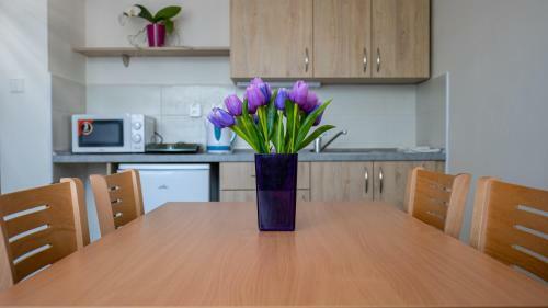 Albergue Apartm�ny A Studia Z�meck� Park