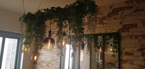 Bed & Breakfast Oasis De Bornos