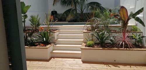 Bed & Breakfast Oasis De Bornos