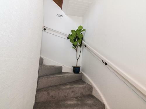 Apartamento 40 Main Street